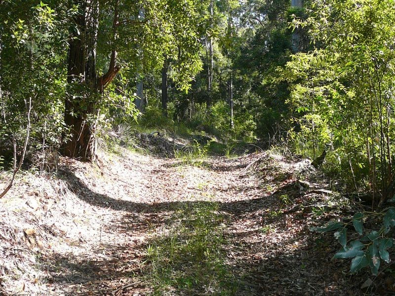 Lot 101 Isaacs Lane, Johns River NSW 2443