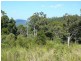 Lot 101 Isaacs Lane, Johns River NSW 2443
