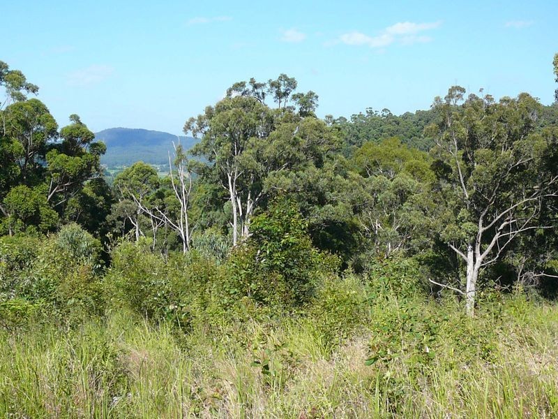 Lot 101 Isaacs Lane, Johns River NSW 2443