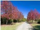 25 Coaldrakes Lane, Hannam Vale NSW 2443