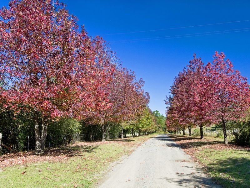 25 Coaldrakes Lane, Hannam Vale NSW 2443