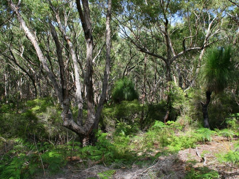 17 Birramal Drive, Dunbogan NSW 2443