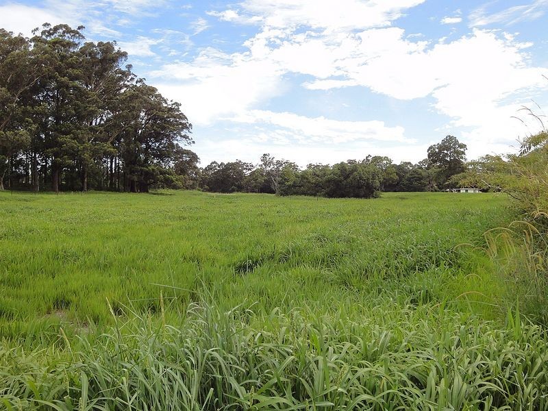 9 Wharf Road, Johns River NSW 2443