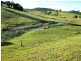 Hannam Vale NSW 2443