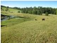 Hannam Vale NSW 2443