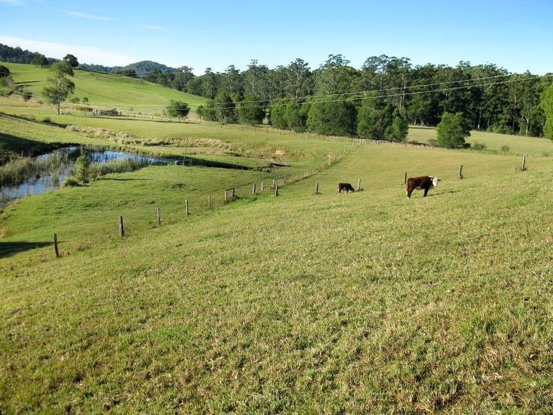 Hannam Vale NSW 2443