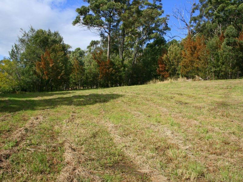 5 Candlebark Court, Laurieton NSW 2443