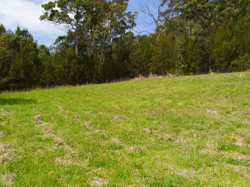 5 Candlebark Court, Laurieton NSW 2443