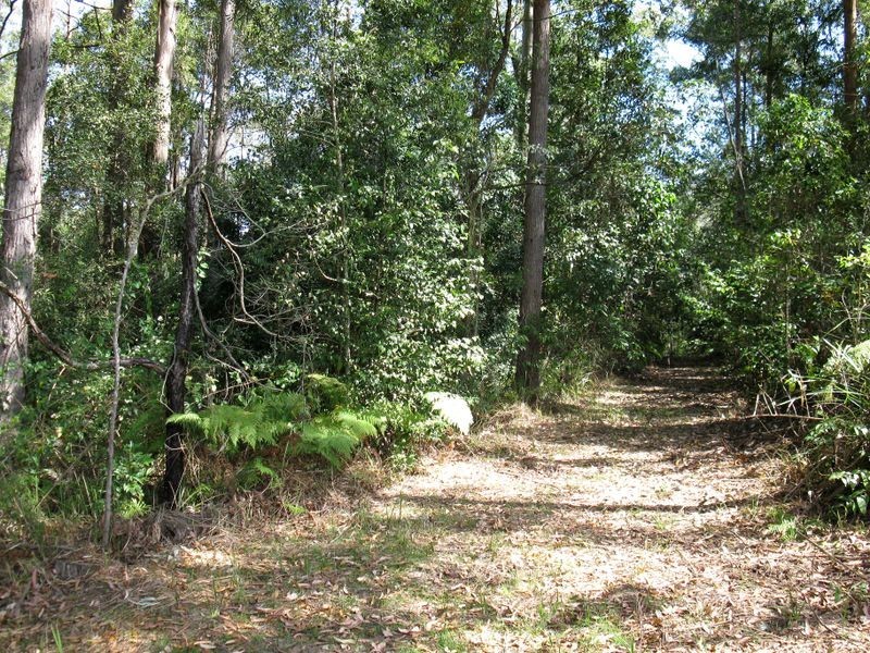 395 Waitui Road, Hannam Vale NSW 2443