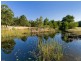 92 Wharf Road, Johns River NSW 2443