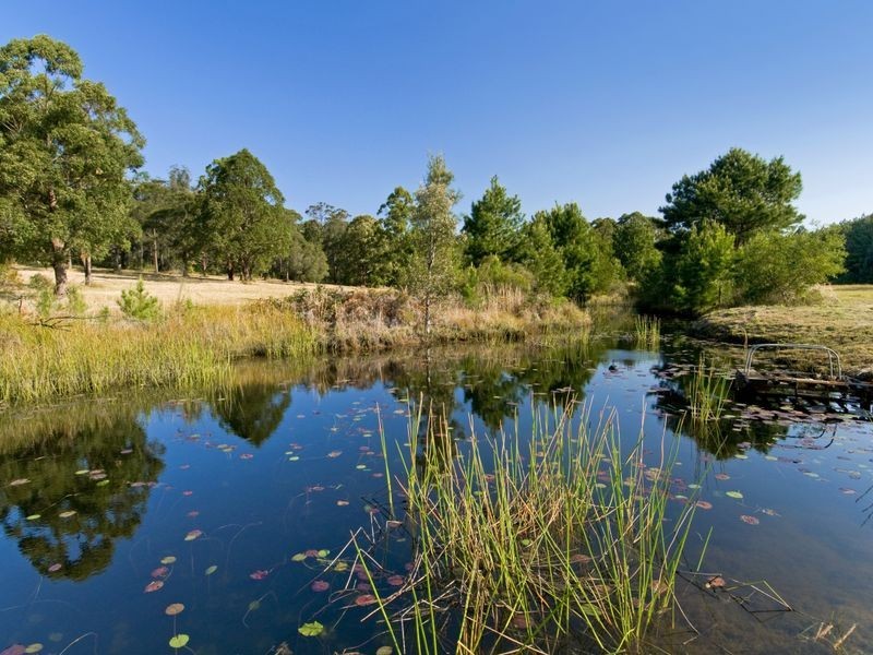 92 Wharf Road, Johns River NSW 2443