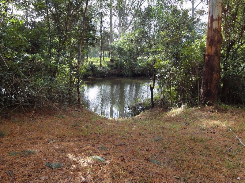 92 Wharf Road, Johns River NSW 2443