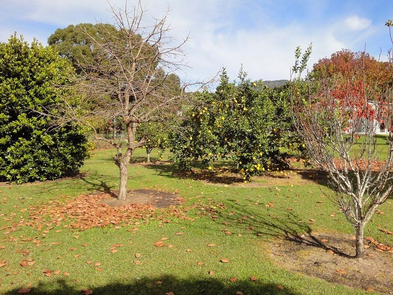 92 Wharf Road, Johns River NSW 2443