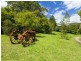 661 Hannam Vale Road, Stewarts River NSW 2443