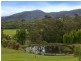 36 Kingsford Road, Logans Crossing NSW 2439