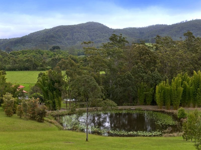 36 Kingsford Road, Logans Crossing NSW 2439