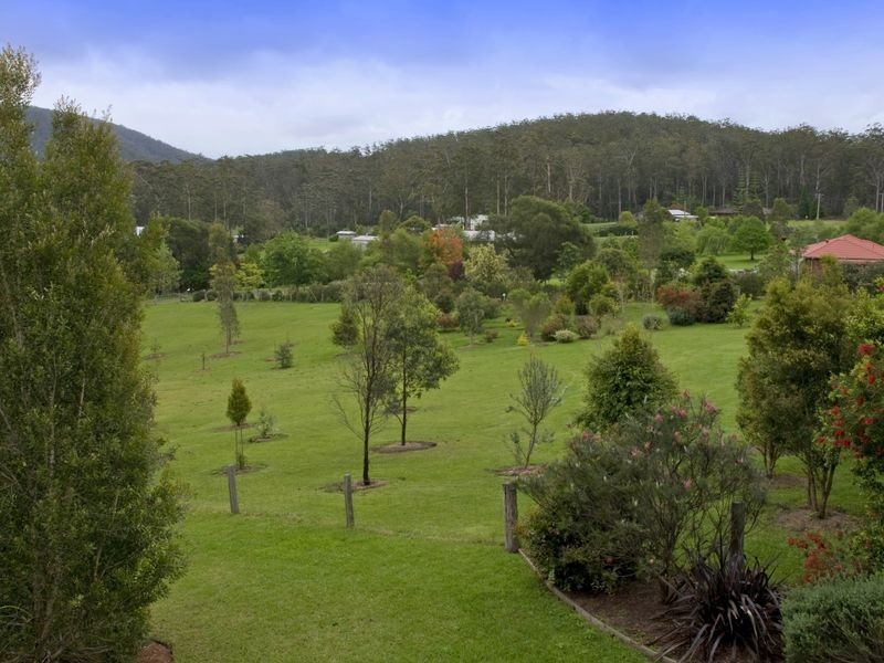 36 Kingsford Road, Logans Crossing NSW 2439
