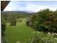 36 Kingsford Road, Logans Crossing NSW 2439