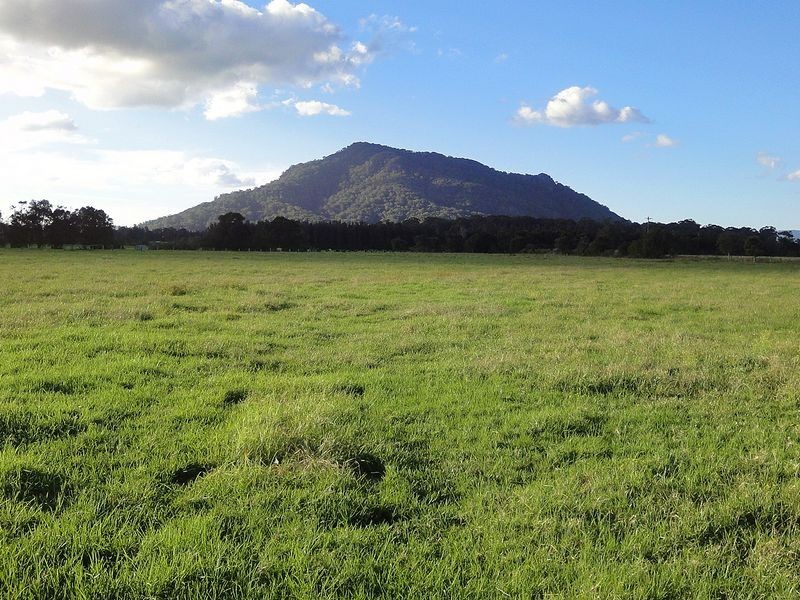 183 Henrys Lane, Moorland NSW 2443