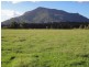 183 Henrys Lane, Moorland NSW 2443