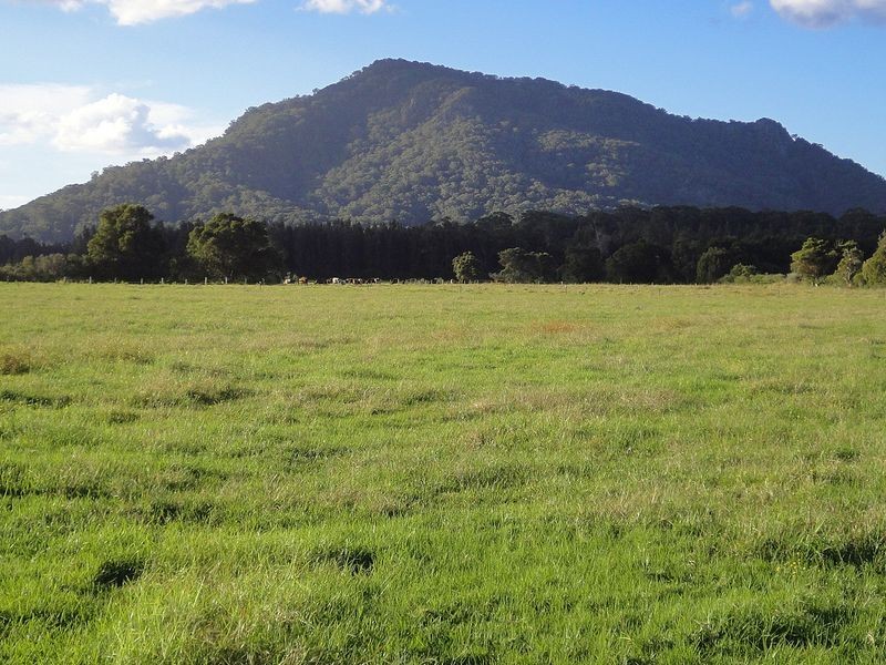 183 Henrys Lane, Moorland NSW 2443