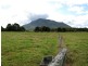 183 Henrys Lane, Moorland NSW 2443