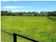 22 Gumnut Road, Herons Creek NSW 2443