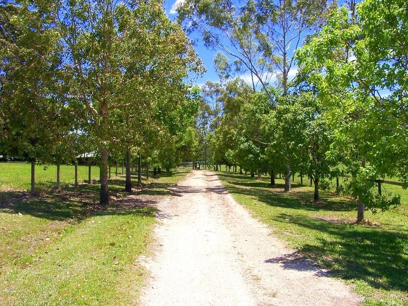 22 Gumnut Road, Herons Creek NSW 2443