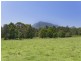 17 Henrys Lane, Moorland NSW 2443