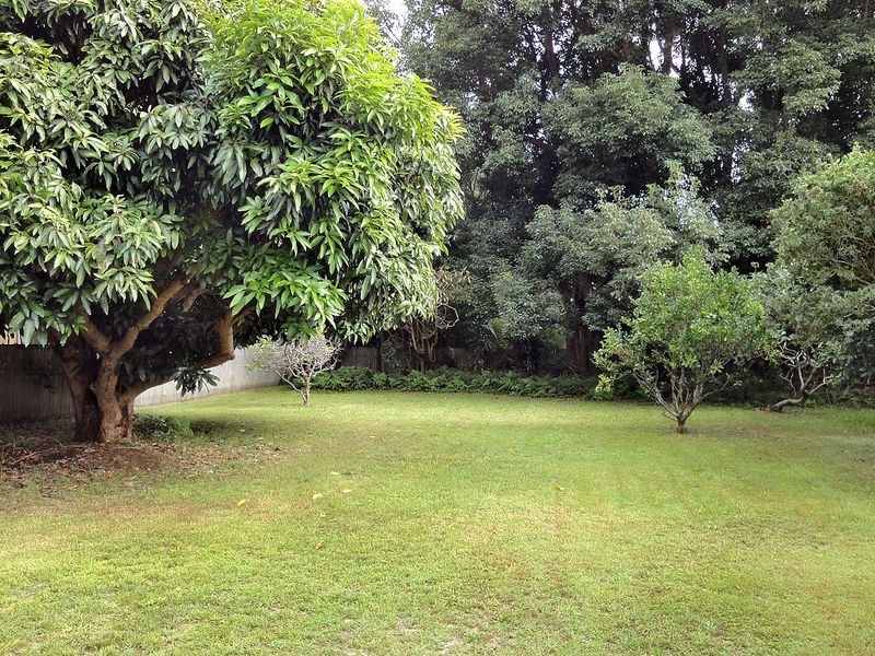 81 Longworth Road, Dunbogan NSW 2443