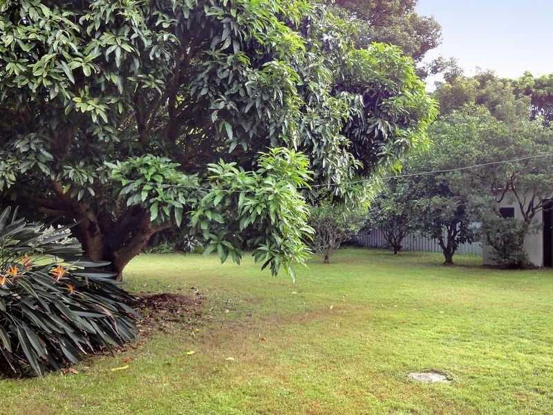 81 Longworth Road, Dunbogan NSW 2443
