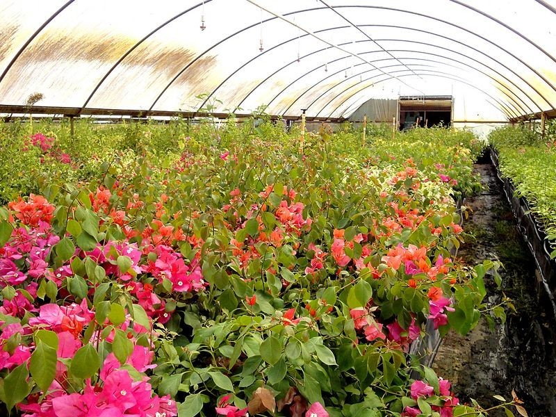 79 Jericho Road, Moorland NSW 2443