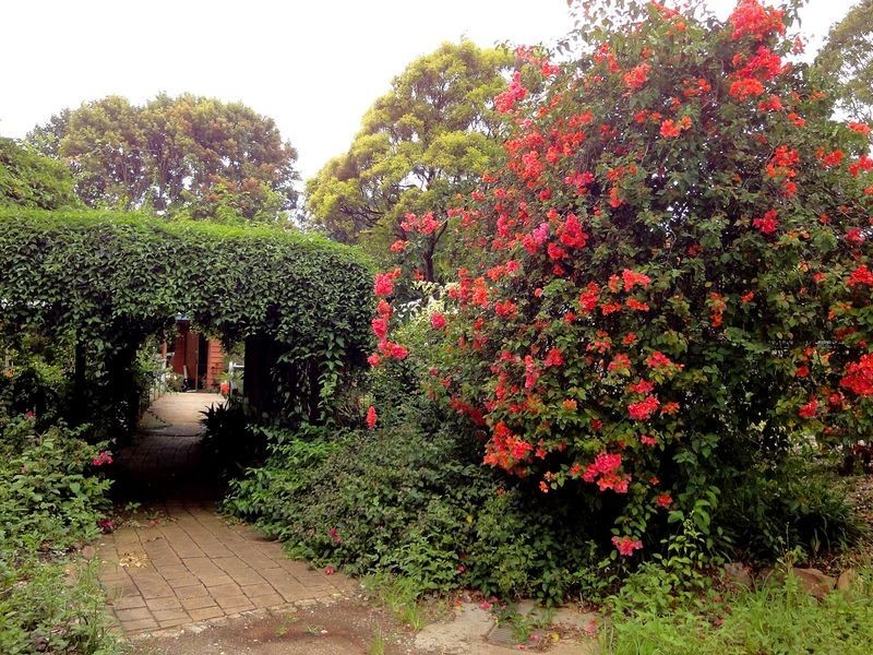 79 Jericho Road, Moorland NSW 2443