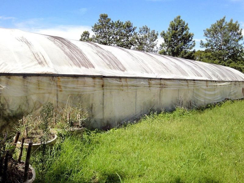 79 Jericho Road, Moorland NSW 2443