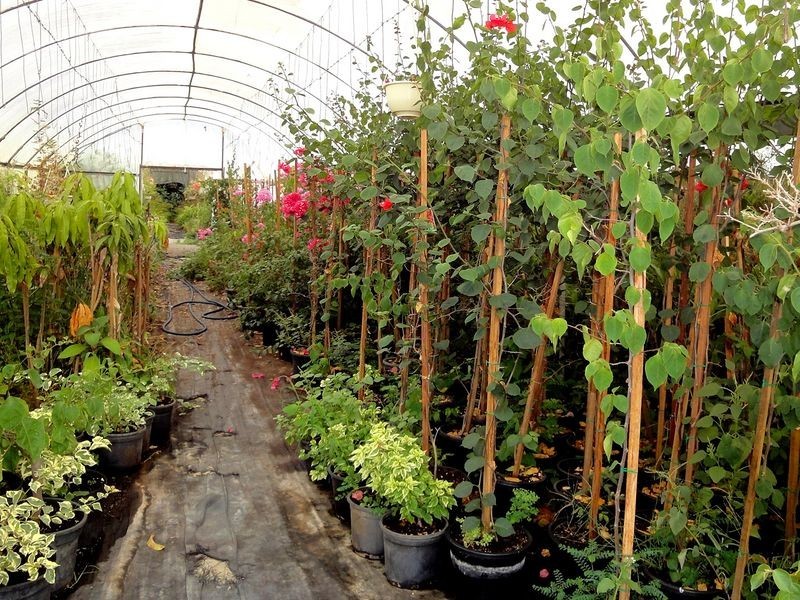 79 Jericho Road, Moorland NSW 2443