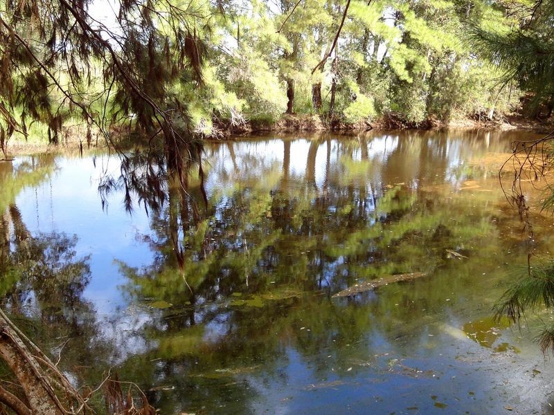 79 Jericho Road, Moorland NSW 2443