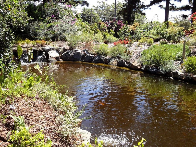 79 Jericho Road, Moorland NSW 2443