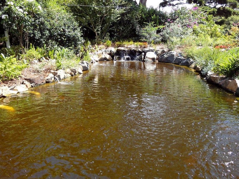 79 Jericho Road, Moorland NSW 2443