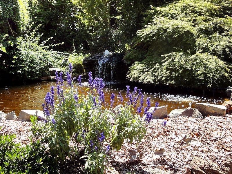 79 Jericho Road, Moorland NSW 2443