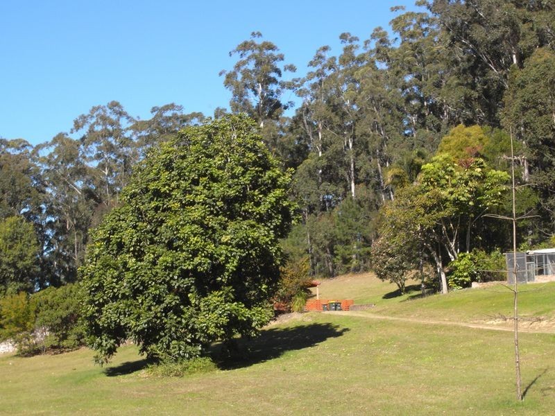 54 Ocean Drive, Kew NSW 2439