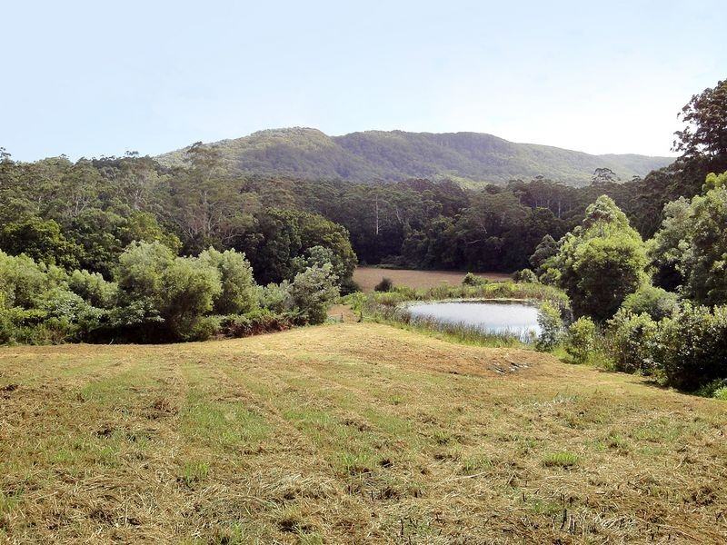 326 Waitui Road, Waitui NSW 2443