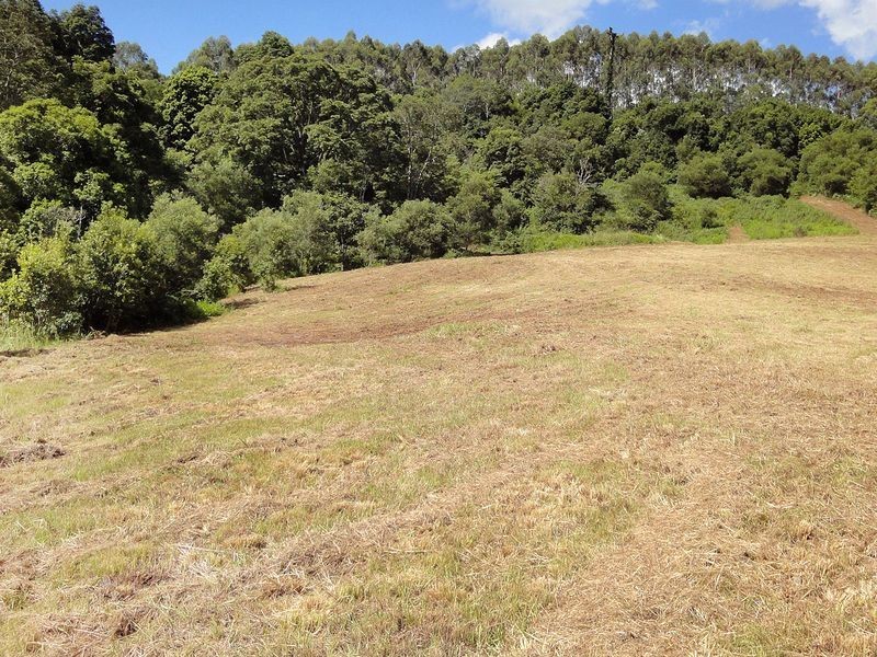 326 Waitui Road, Waitui NSW 2443