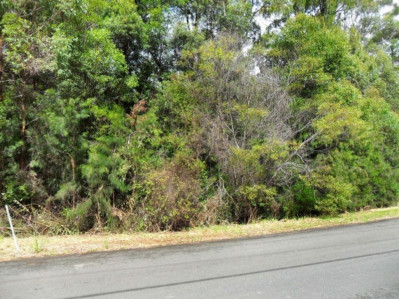 4 Lake Spur, Kew NSW 2439