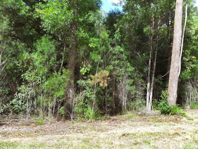 4 Lake Spur, Kew NSW 2439