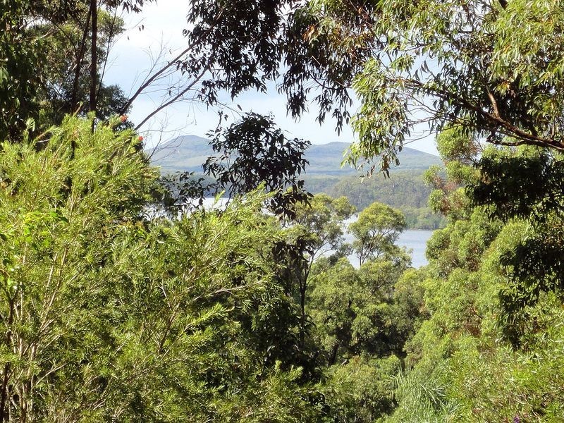 23 Caringal Drive, Middle Brother NSW 2443