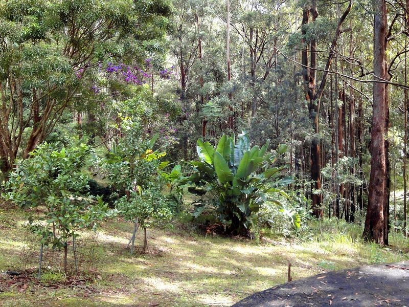 23 Caringal Drive, Middle Brother NSW 2443