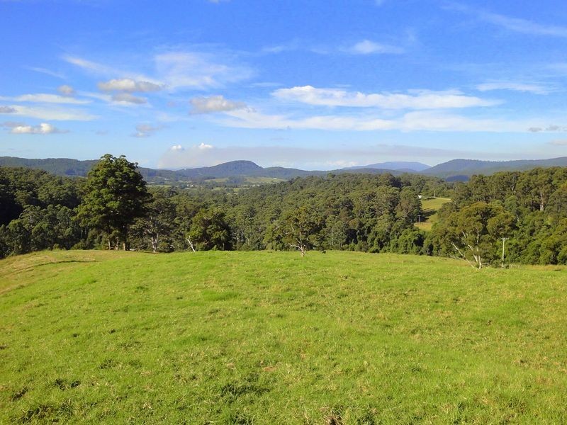 Lot 2 Hannam Vale Road, Lorne NSW 2439
