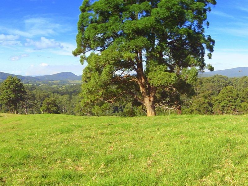 Lot 2 Hannam Vale Road, Lorne NSW 2439