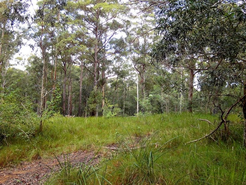 198 Cold Knob Road, Byabarra NSW 2446