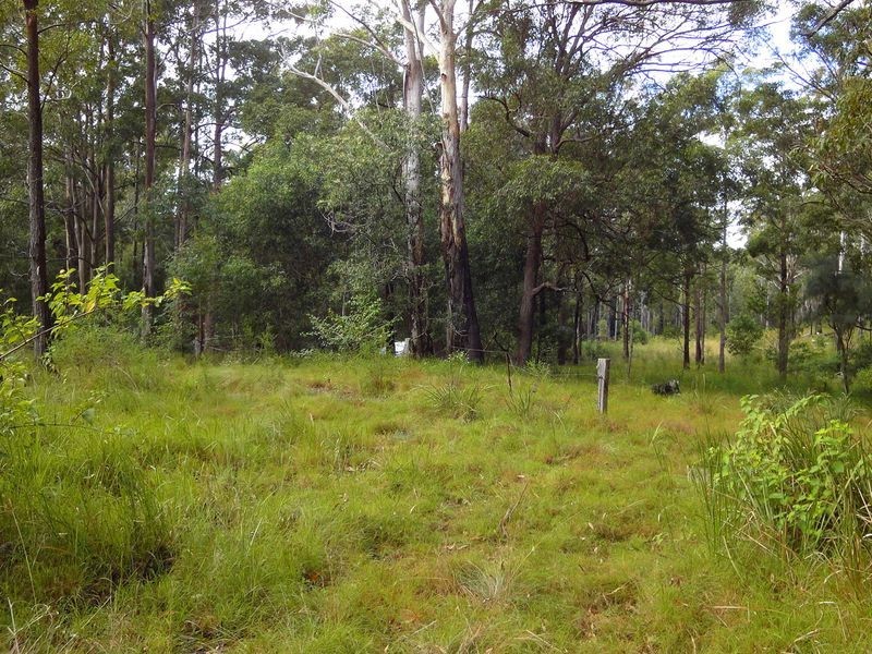 198 Cold Knob Road, Byabarra NSW 2446